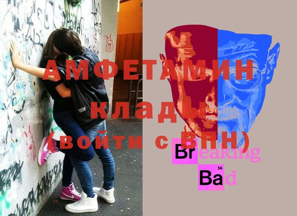 стафф Алзамай