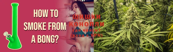 PSILOCYBIN Абинск