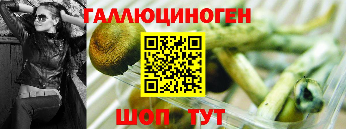 Псилоцибиновые грибы мицелий  Вход с VPN  Кемерово 