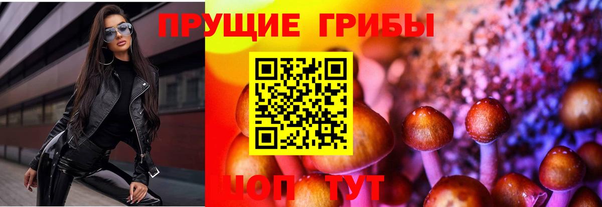Псилоцибиновые грибы мухоморы Кемерово